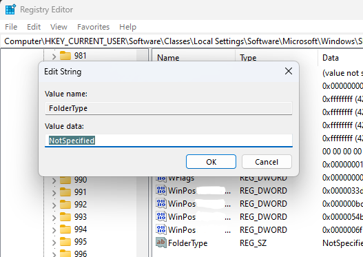 User sets the value of the Folder Type value to Not Specified, in Registry Editor.