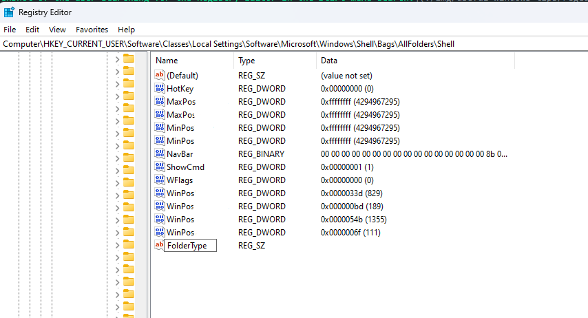 User sets the new value name to Folder Type in Registry Editor.