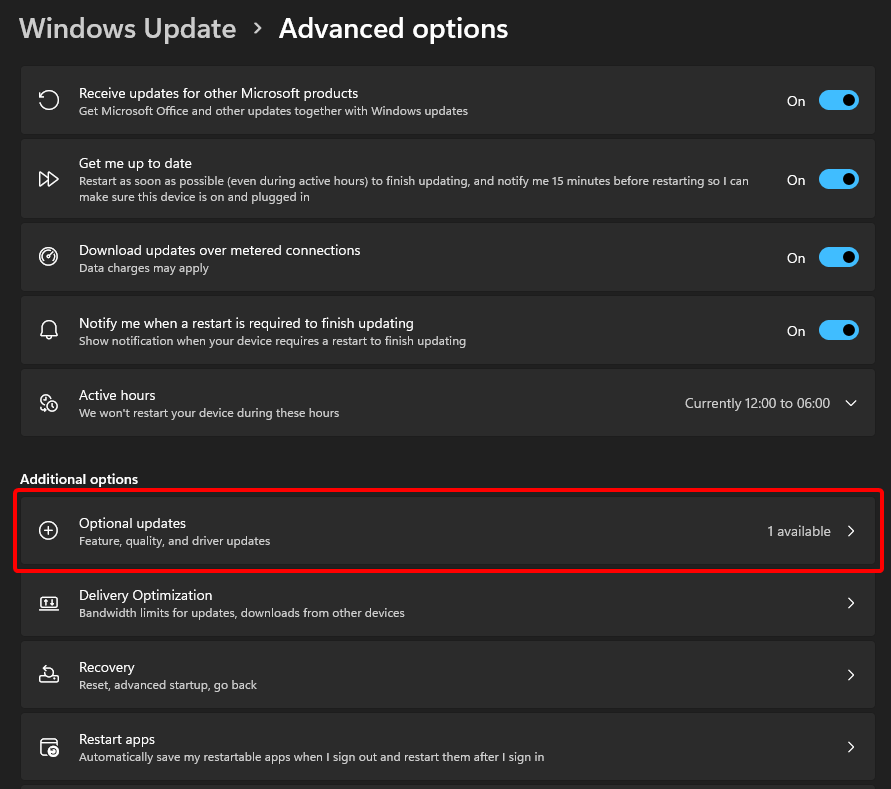 The Advanced options menu, with the Optional updates button highlighted.